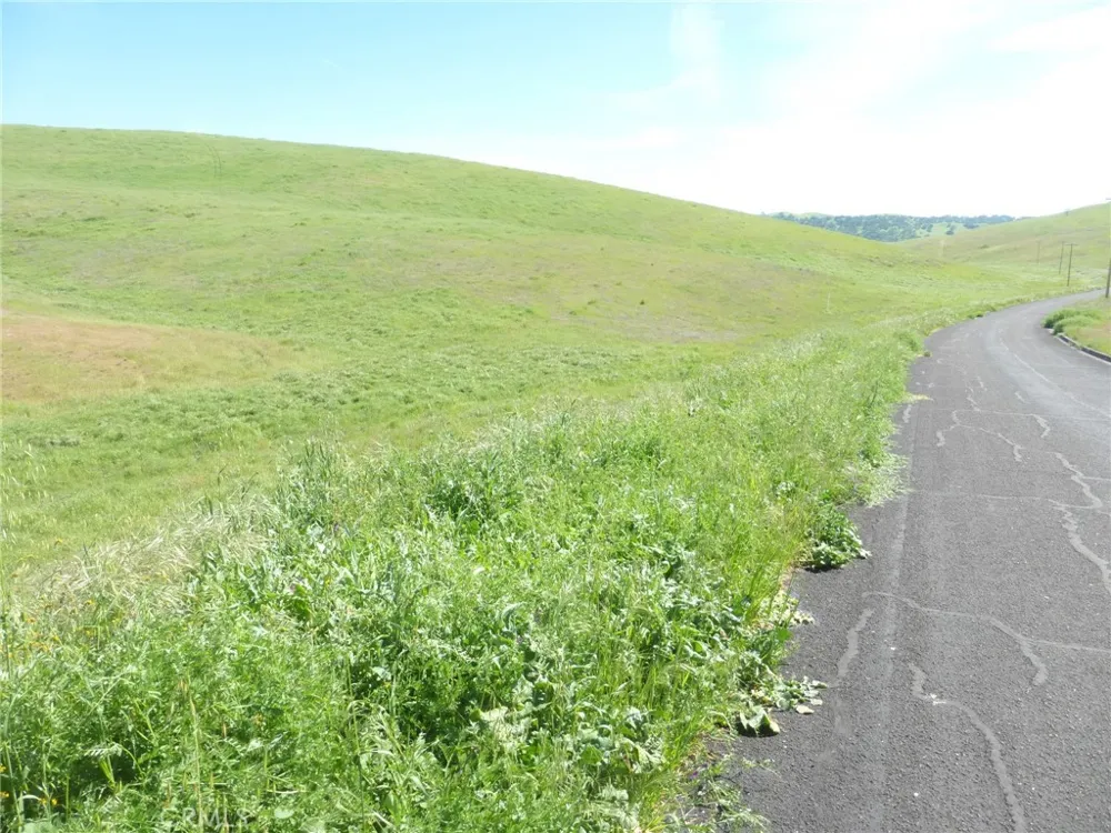 Douglas Rd. (Lots 41-43) San Miguel, CA 93451