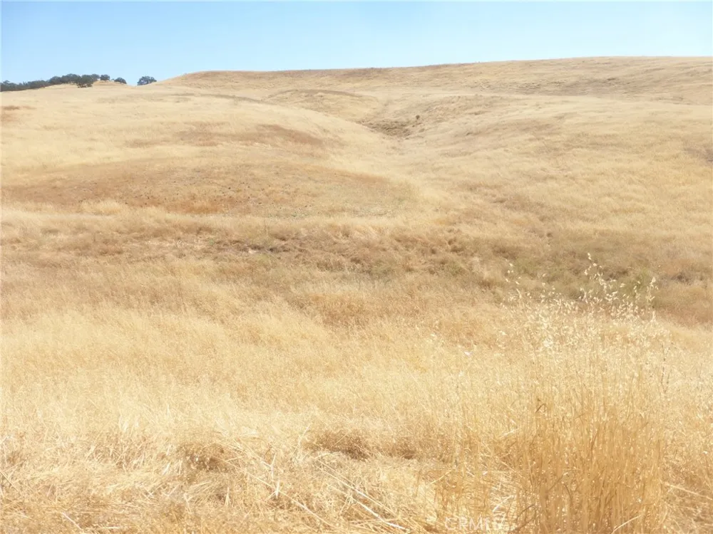 Douglas Rd. (Lots 41-43) San Miguel, CA 93451