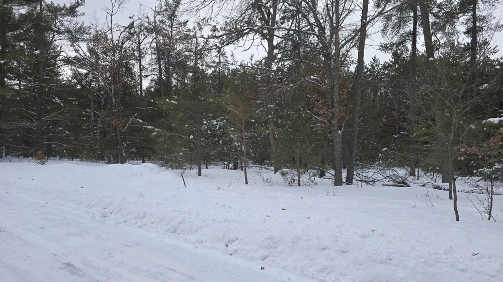 Longfield Drive Greenwood Township, MI 49756