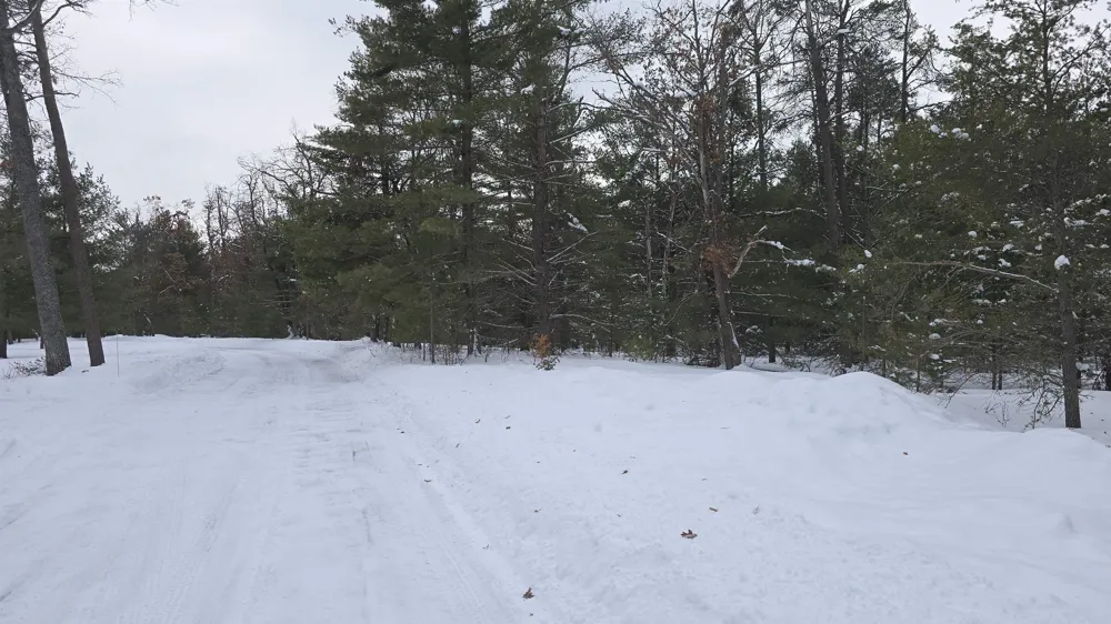 Longfield Drive Greenwood Township, MI 49756