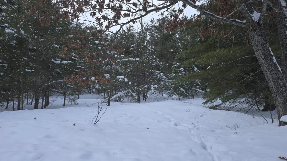Longfield Drive Greenwood Township, MI 49756