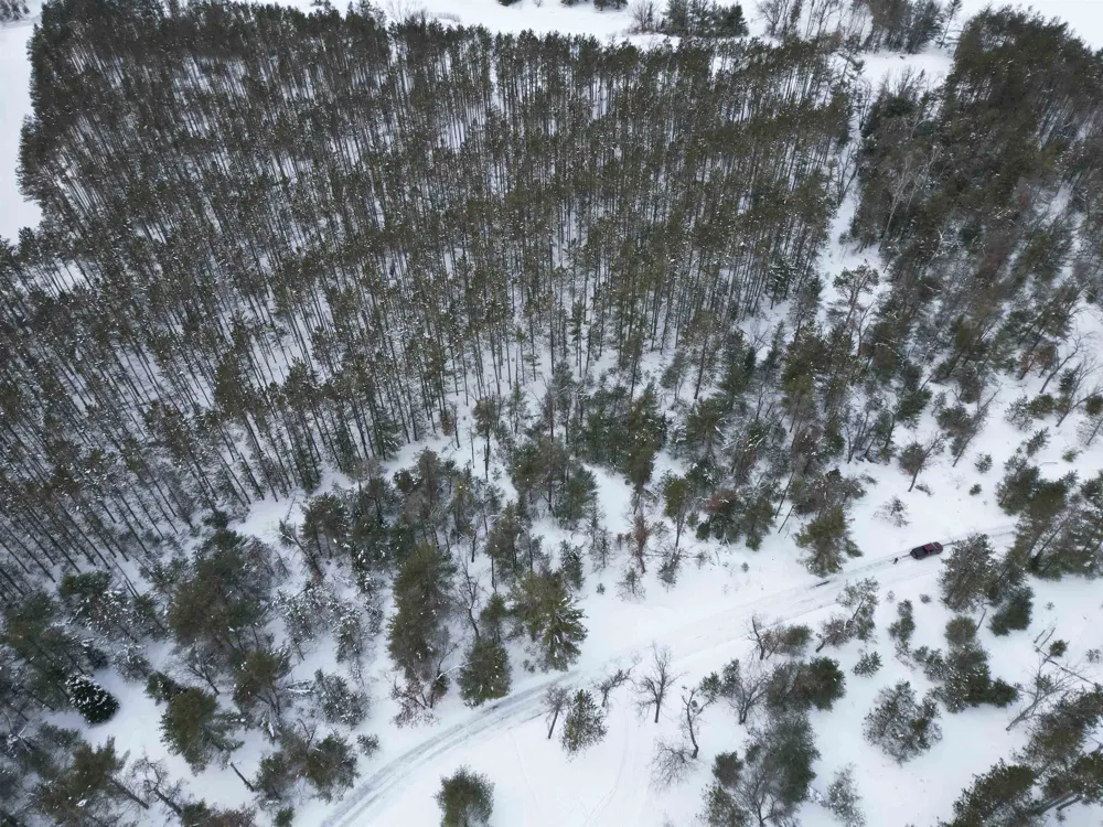 Longfield Drive Greenwood Township, MI 49756