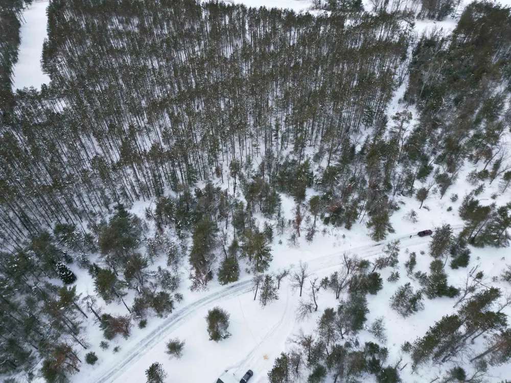 Longfield Drive Greenwood Township, MI 49756