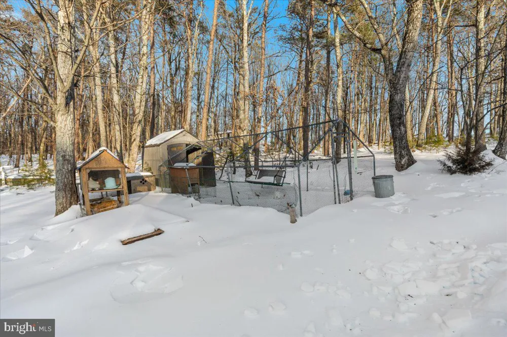 1501 S TIMBER RIDGE ROAD Cross Junction, VA 22625