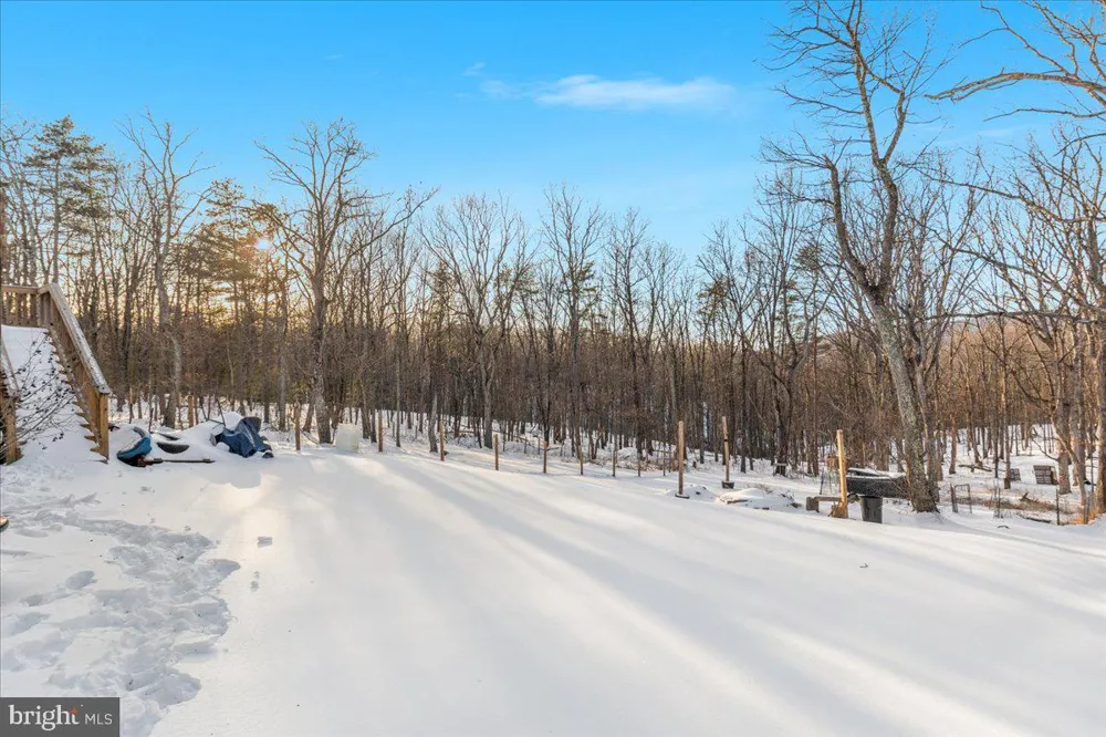 1501 S TIMBER RIDGE ROAD Cross Junction, VA 22625