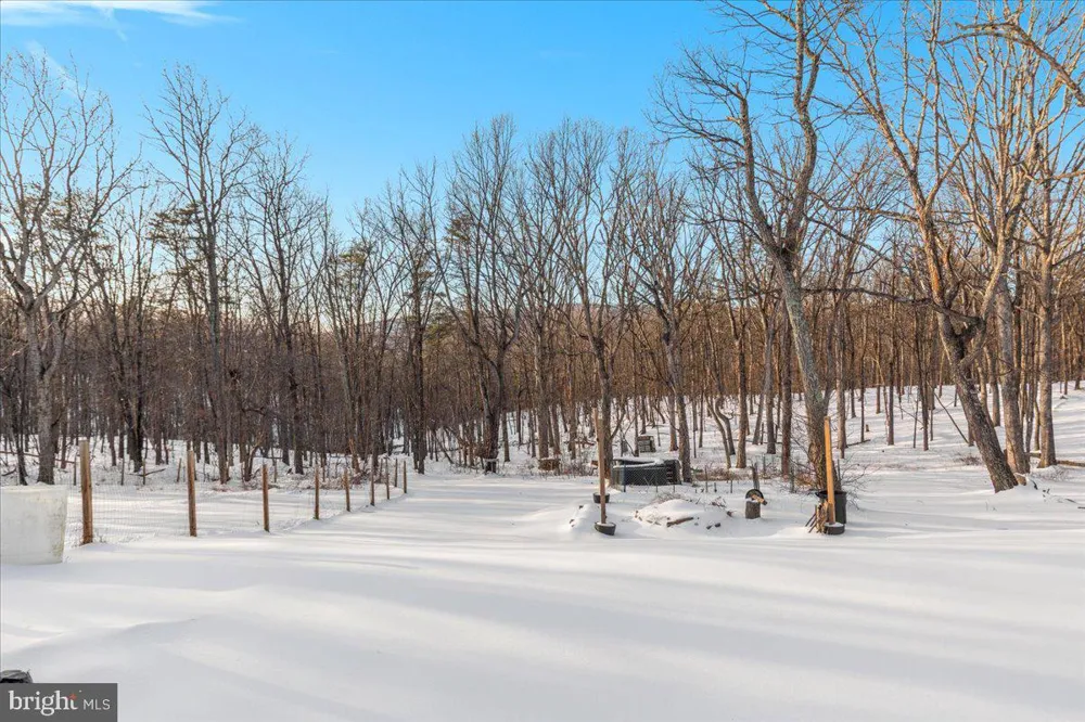 1501 S TIMBER RIDGE ROAD Cross Junction, VA 22625
