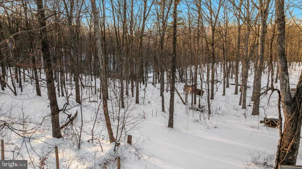 1501 S TIMBER RIDGE ROAD Cross Junction, VA 22625