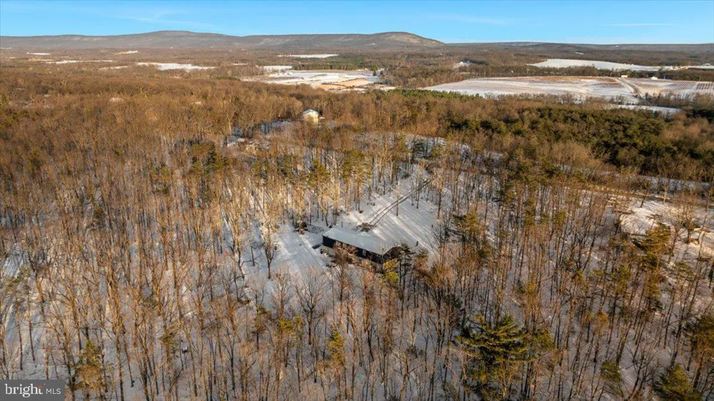 1501 S TIMBER RIDGE ROAD Cross Junction, VA 22625