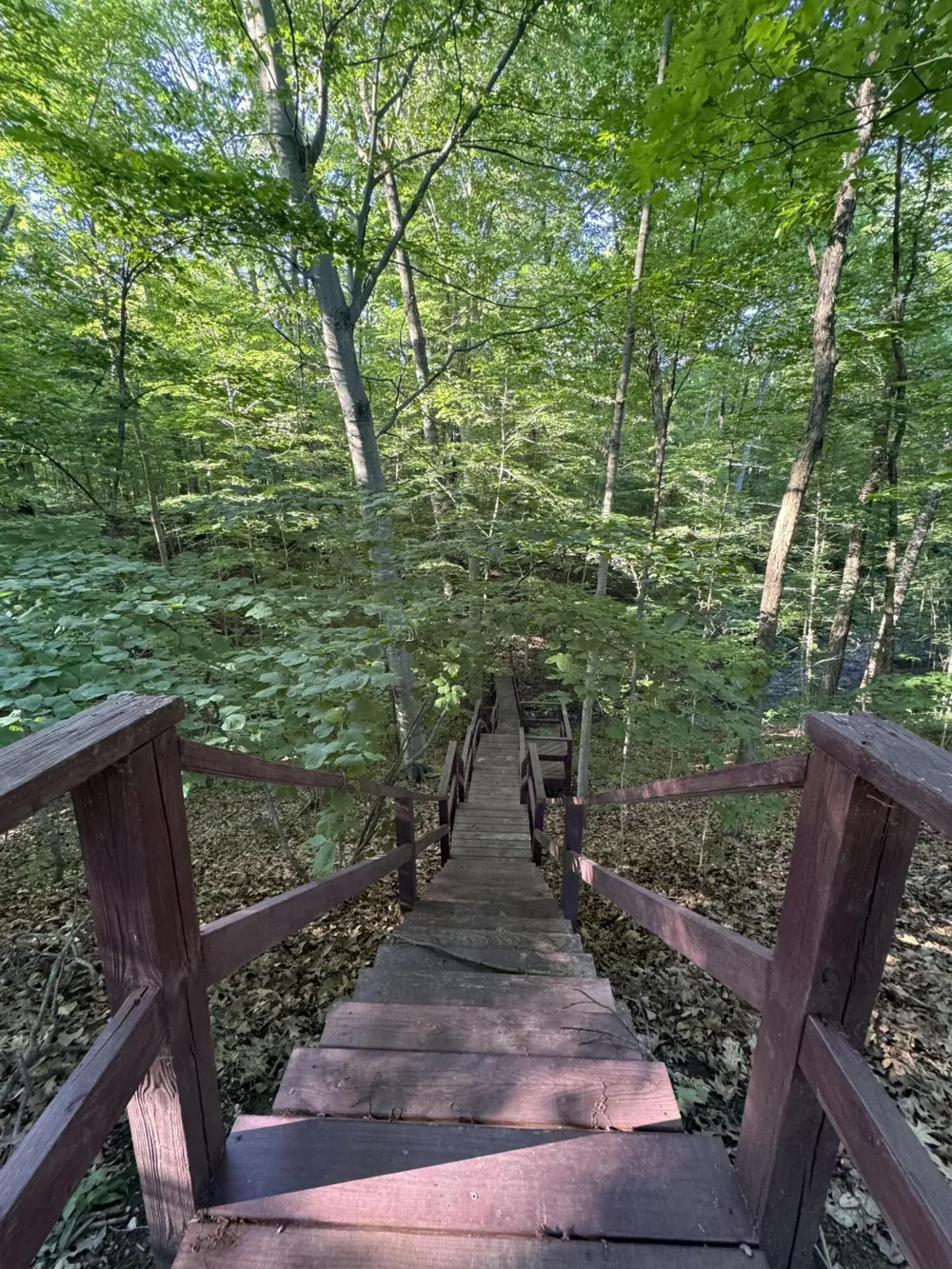 6629 W East Road Three Oaks, MI 49128