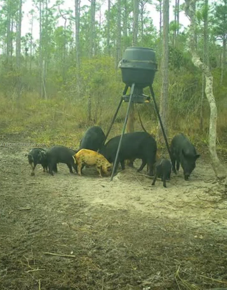 11500 SW WARFIELD Indian Town, FL 34956
