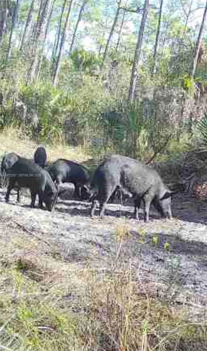 11500 SW WARFIELD Indian Town, FL 34956