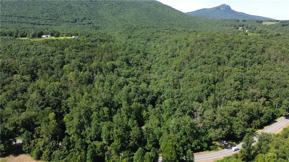 Tract C NC Highway 89 W #Tract C Danbury, NC 27016