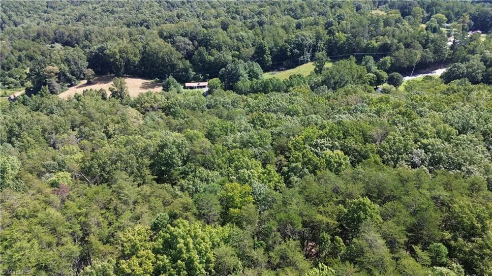 Tract C NC Highway 89 W #Tract C Danbury, NC 27016