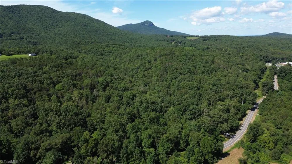 Tract C NC Highway 89 W #Tract C Danbury, NC 27016