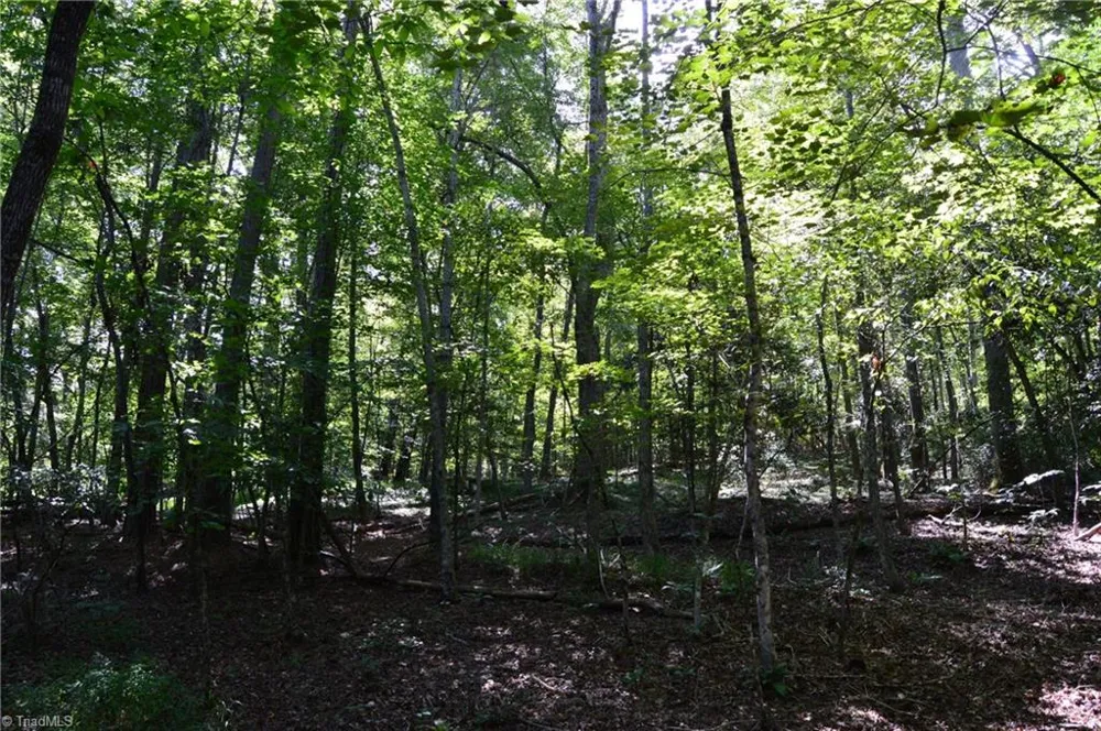 Tract C NC Highway 89 W #Tract C Danbury, NC 27016