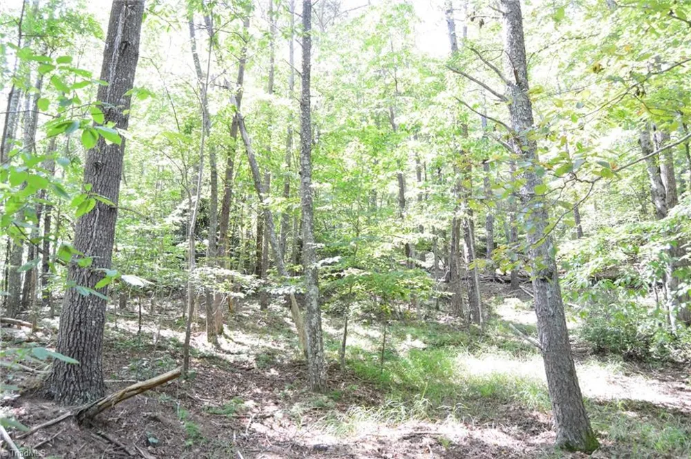 Tract C NC Highway 89 W #Tract C Danbury, NC 27016