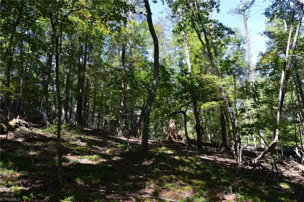 Tract C NC Highway 89 W #Tract C Danbury, NC 27016
