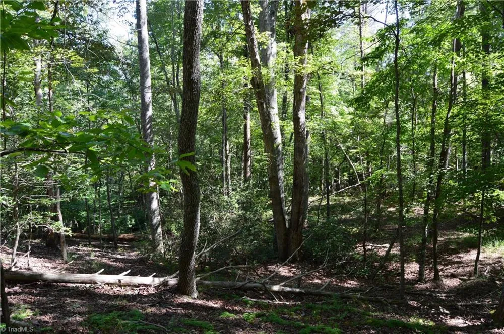 Tract C NC Highway 89 W #Tract C Danbury, NC 27016