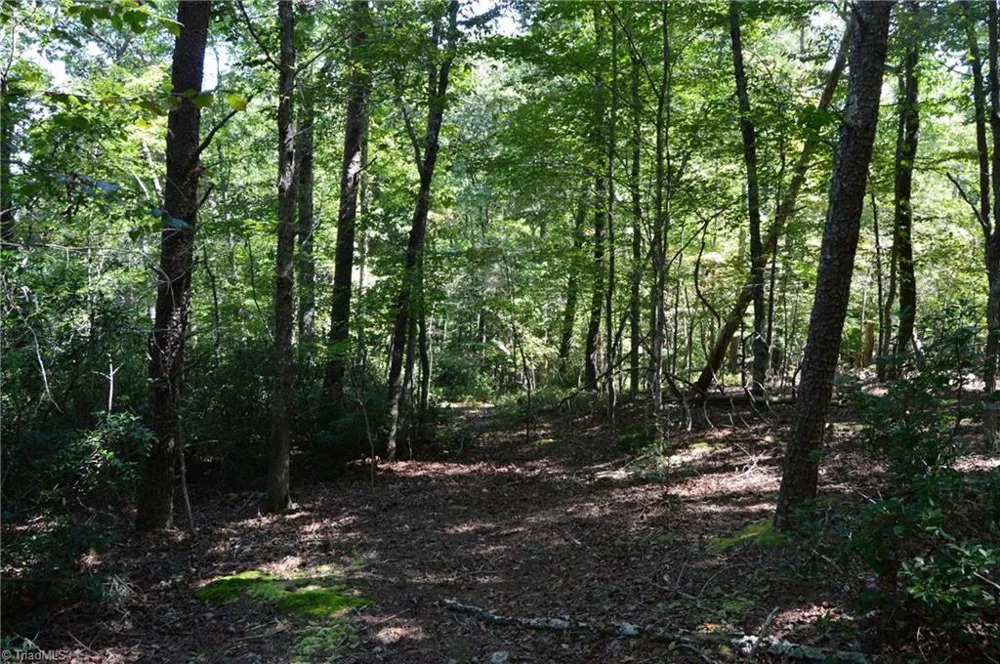 Tract C NC Highway 89 W #Tract C Danbury, NC 27016