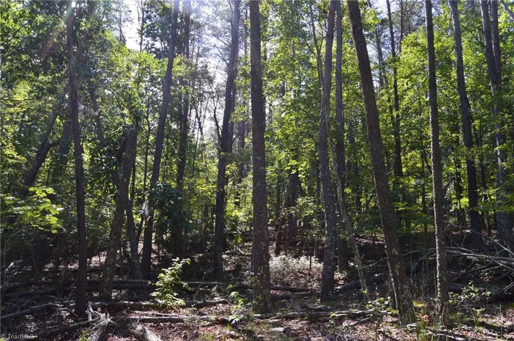Tract C NC Highway 89 W #Tract C Danbury, NC 27016