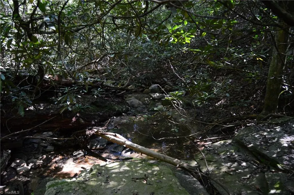 Tract C NC Highway 89 W #Tract C Danbury, NC 27016