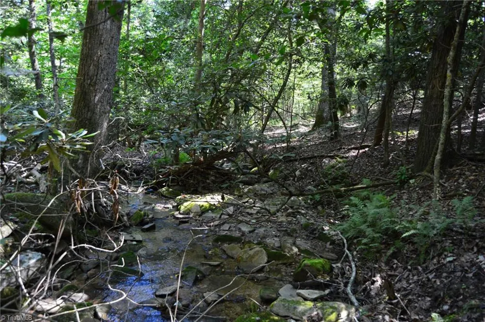 Tract C NC Highway 89 W #Tract C Danbury, NC 27016