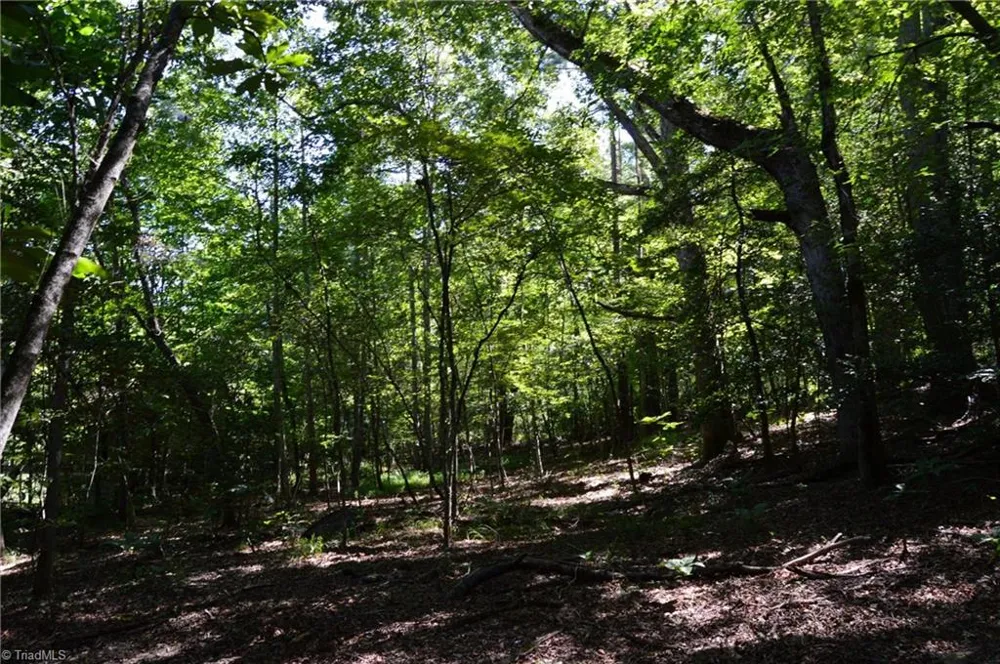 Tract C NC Highway 89 W #Tract C Danbury, NC 27016