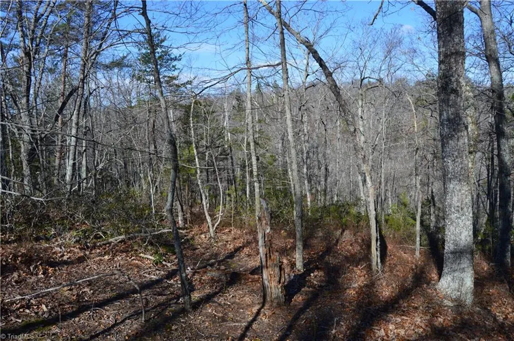 Tract C NC Highway 89 W #Tract C Danbury, NC 27016