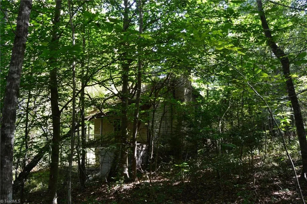 Tract C NC Highway 89 W #Tract C Danbury, NC 27016
