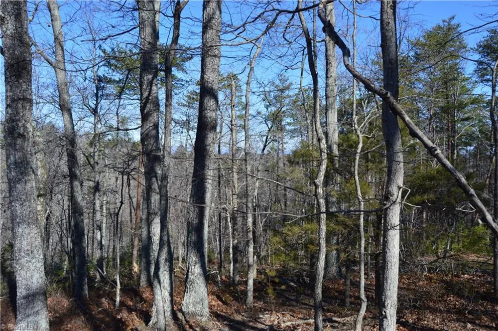 Tract C NC Highway 89 W #Tract C Danbury, NC 27016