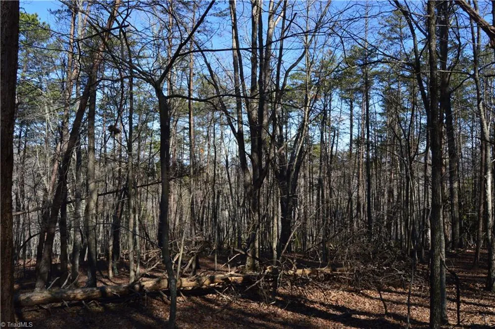 Tract C NC Highway 89 W #Tract C Danbury, NC 27016