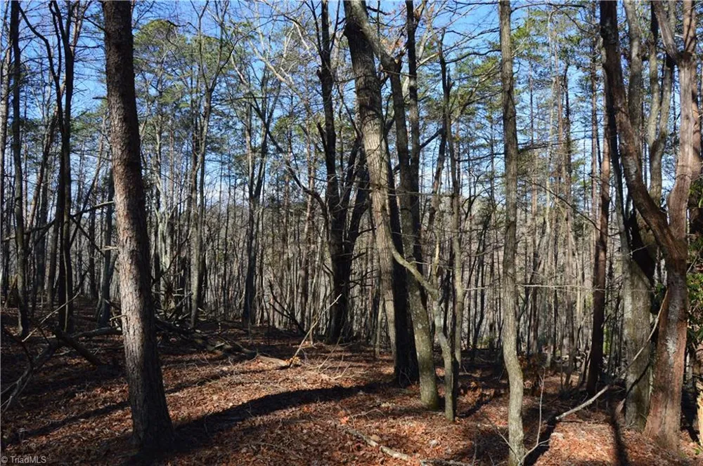 Tract C NC Highway 89 W #Tract C Danbury, NC 27016