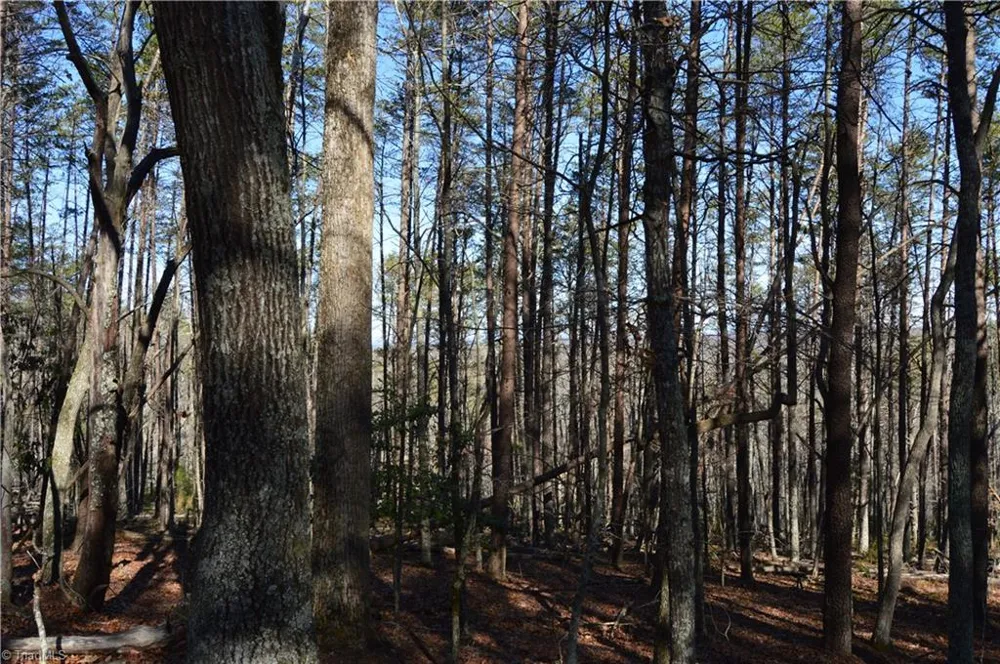 Tract C NC Highway 89 W #Tract C Danbury, NC 27016