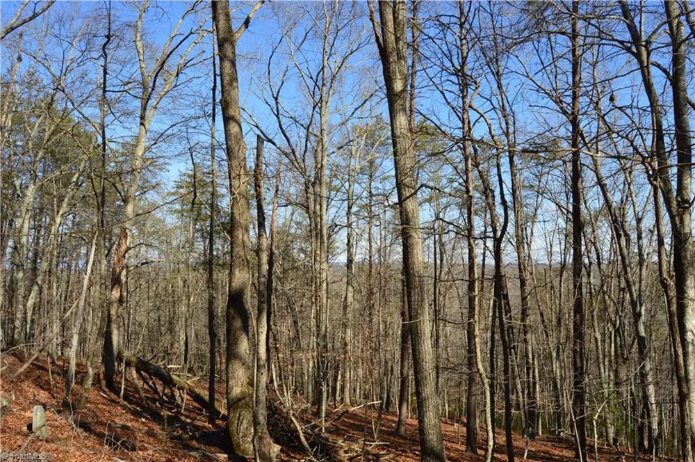 Tract C NC Highway 89 W #Tract C Danbury, NC 27016