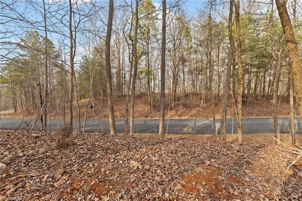 174 Mistral Lane Denton, NC 27239