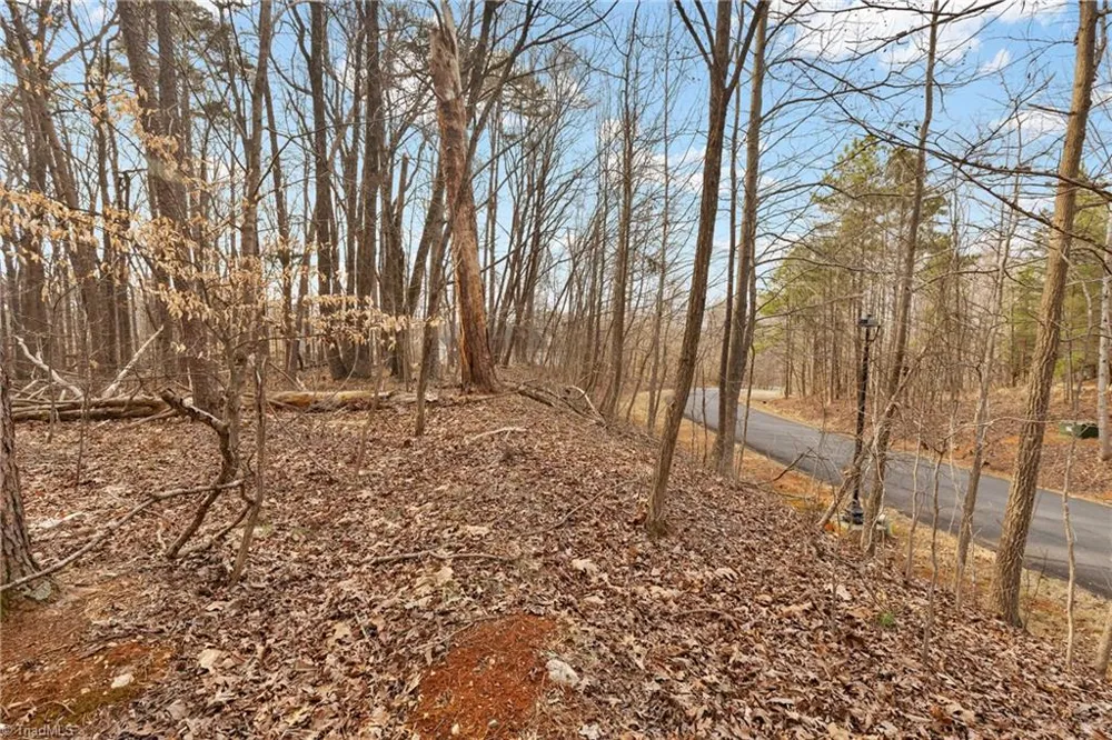 174 Mistral Lane Denton, NC 27239