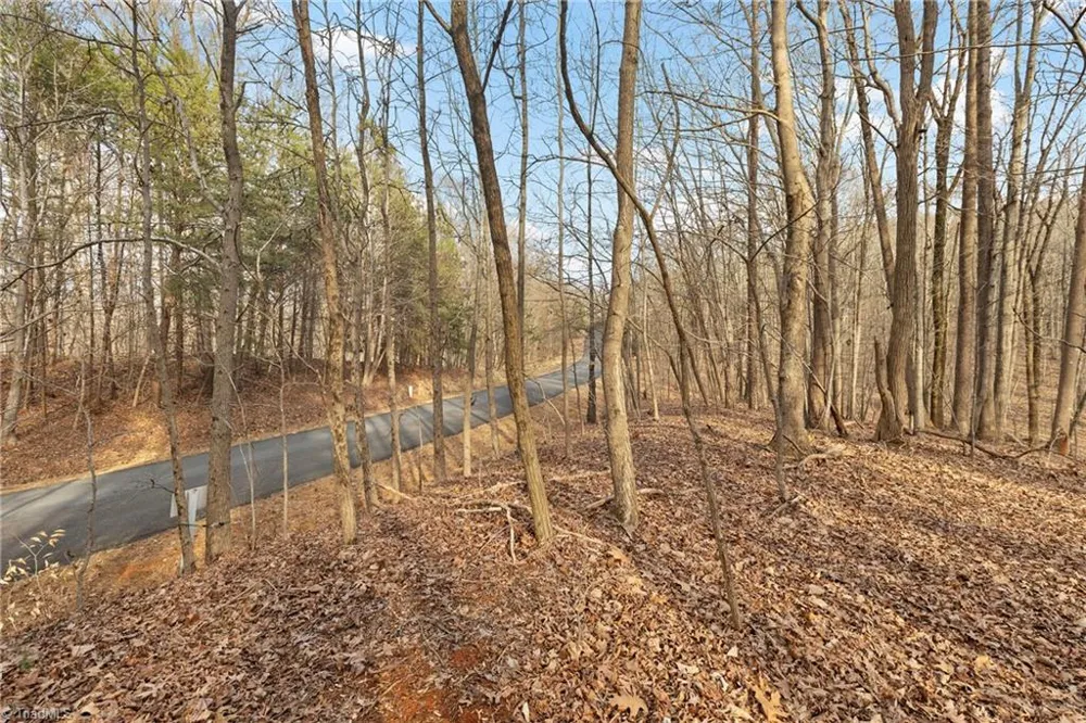 174 Mistral Lane Denton, NC 27239
