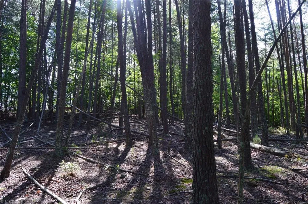 Tract D Hanging Rock Forest Road #Tract D Danbury, NC 27016