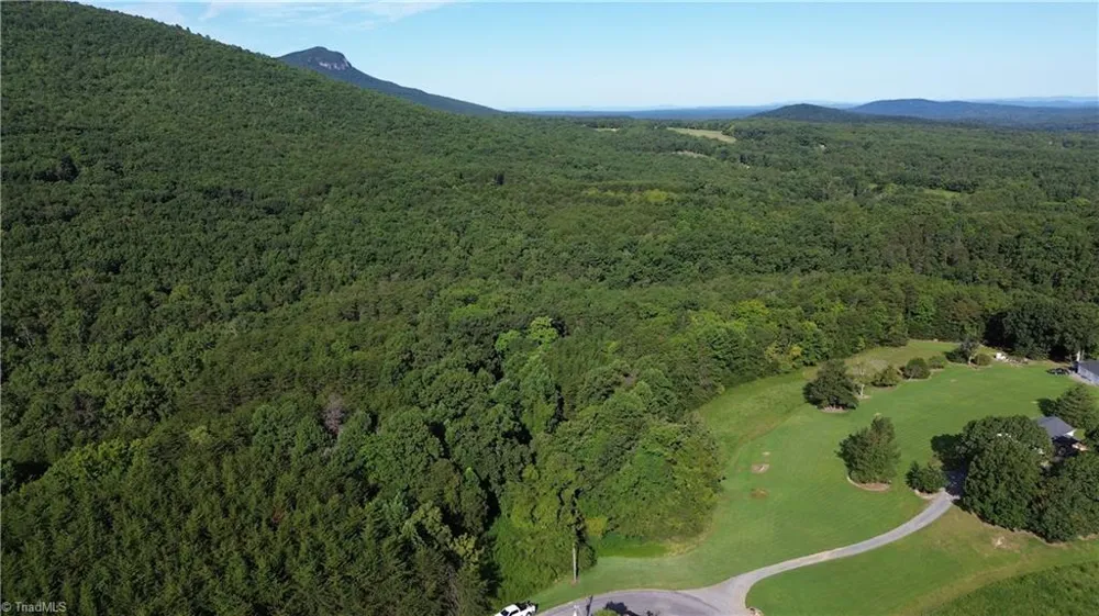Tract D Hanging Rock Forest Road #Tract D Danbury, NC 27016