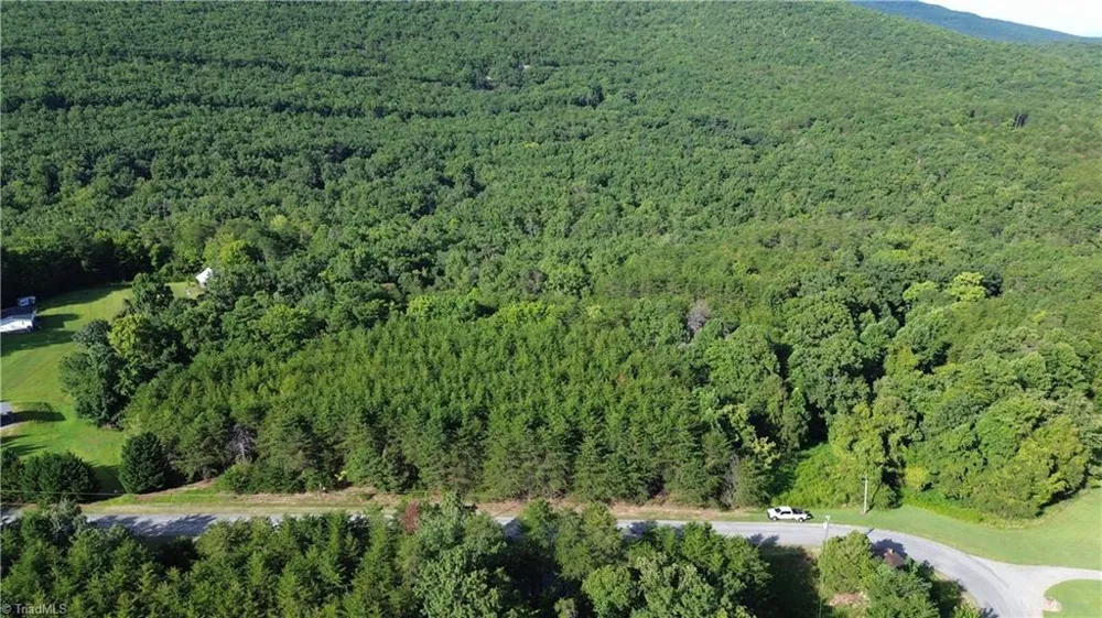 Tract D Hanging Rock Forest Road #Tract D Danbury, NC 27016