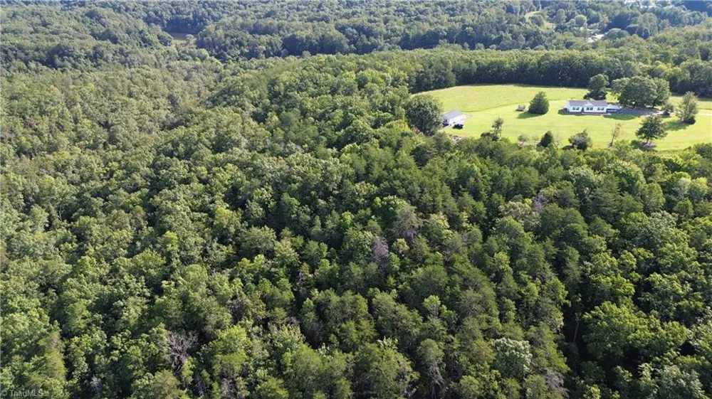 Tract D Hanging Rock Forest Road #Tract D Danbury, NC 27016