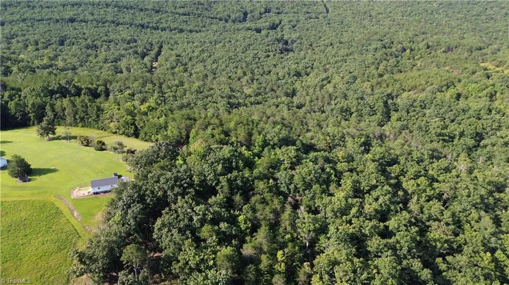 Tract D Hanging Rock Forest Road #Tract D Danbury, NC 27016