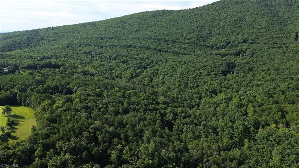 Tract D Hanging Rock Forest Road #Tract D Danbury, NC 27016