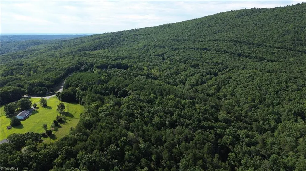 Tract D Hanging Rock Forest Road #Tract D Danbury, NC 27016