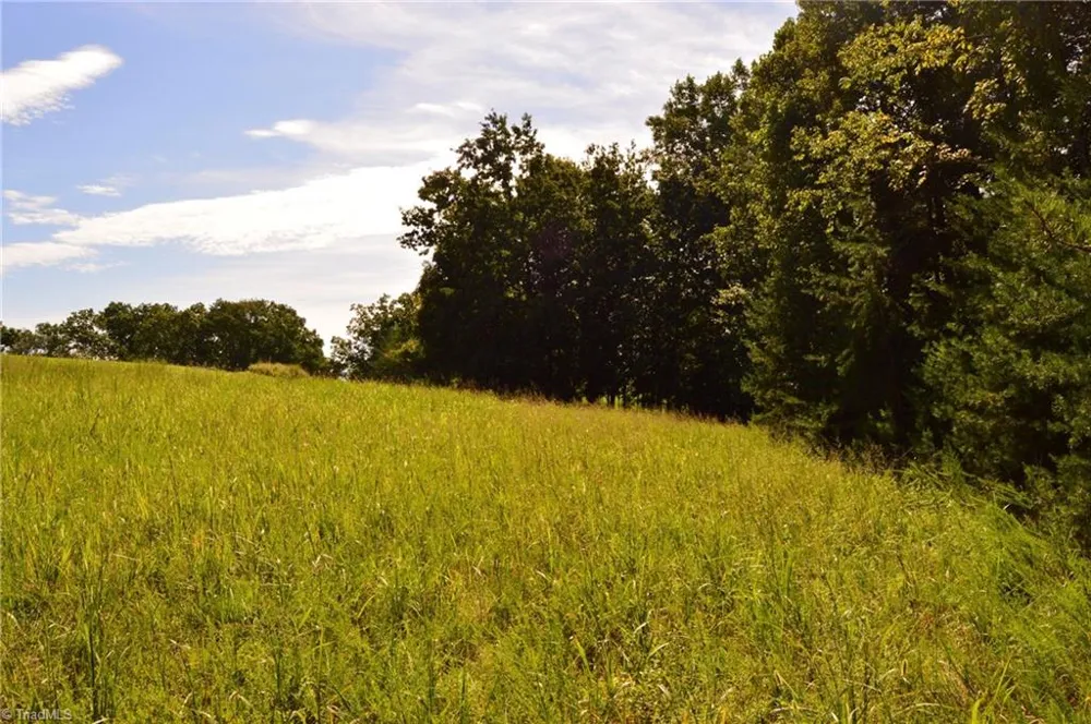 Tract D Hanging Rock Forest Road #Tract D Danbury, NC 27016