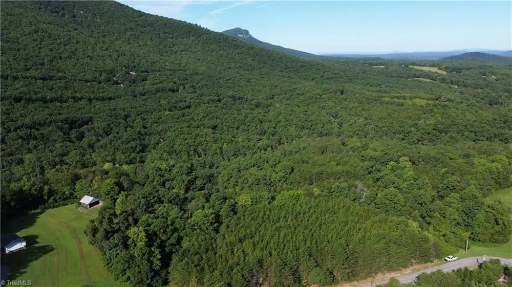 Tract D Hanging Rock Forest Road #Tract D Danbury, NC 27016