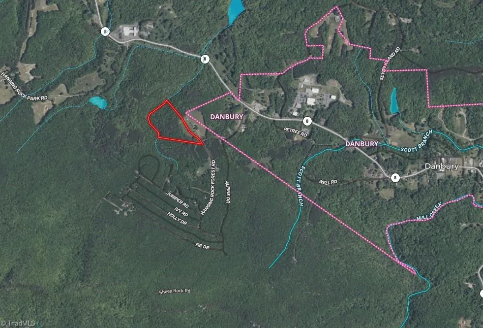 Tract D Hanging Rock Forest Road #Tract D Danbury, NC 27016