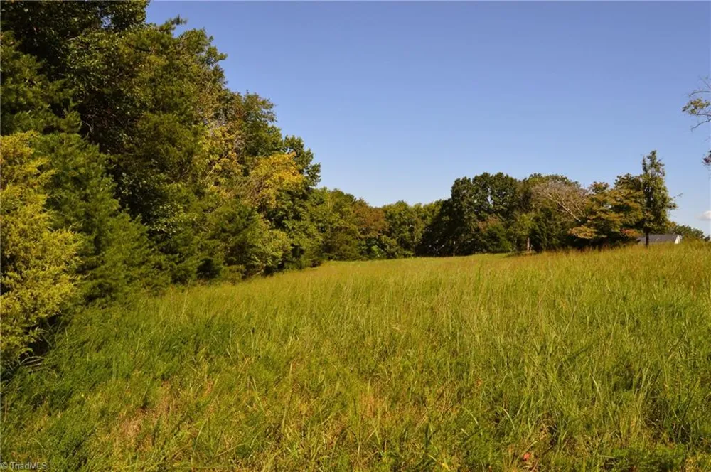 Tract D Hanging Rock Forest Road #Tract D Danbury, NC 27016