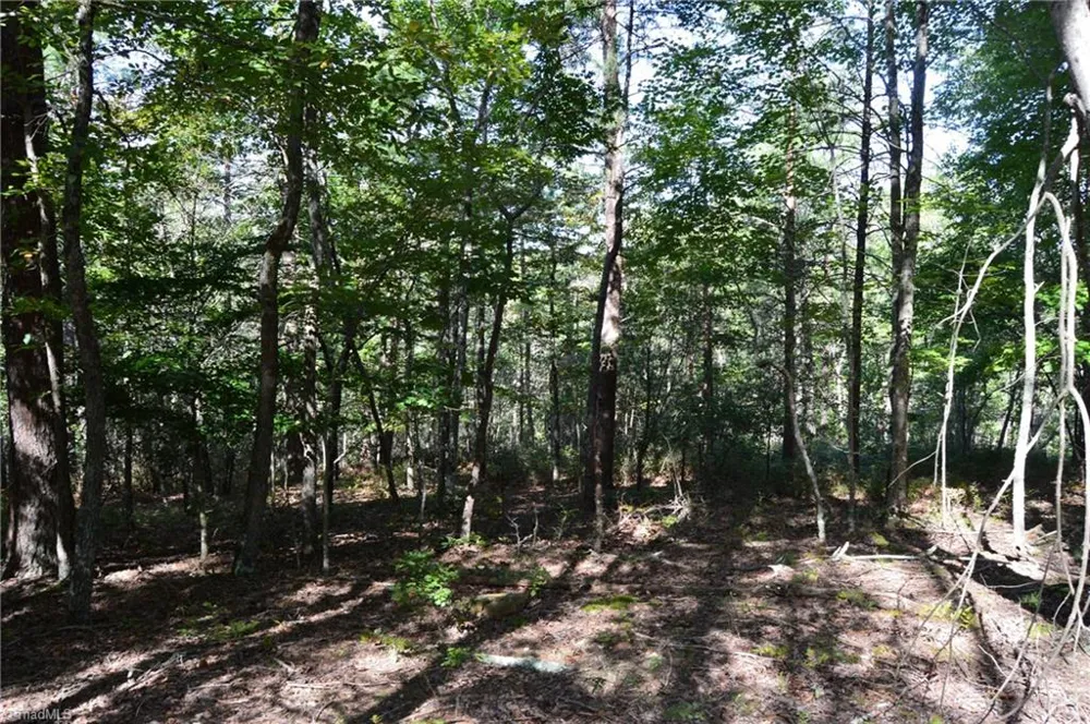 Tract D Hanging Rock Forest Road #Tract D Danbury, NC 27016