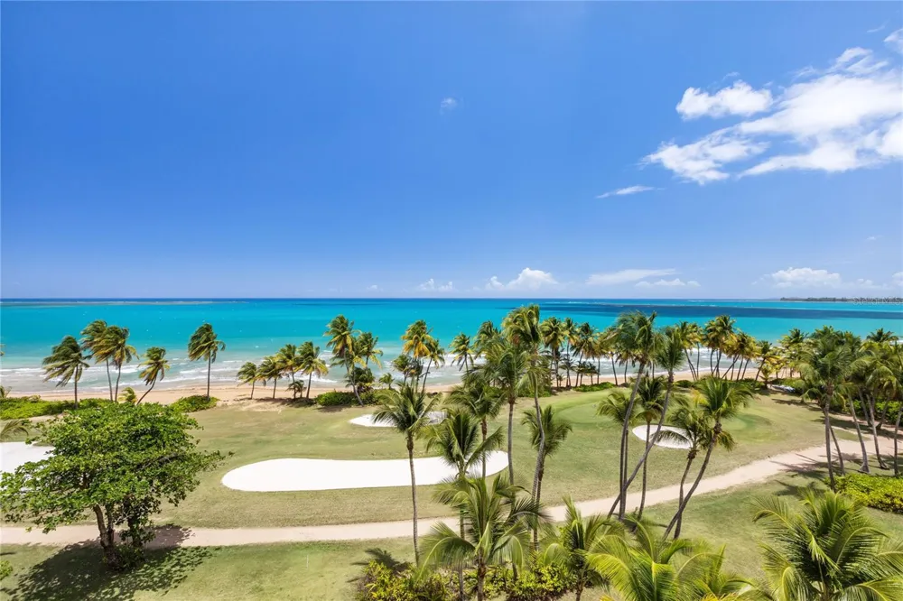 9000 RIO MAR #263 Rio Grande, PR 00745